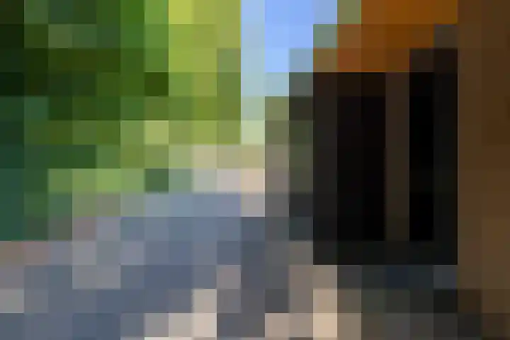 De Wijzend 54 Oosthuizen thumbnail 51