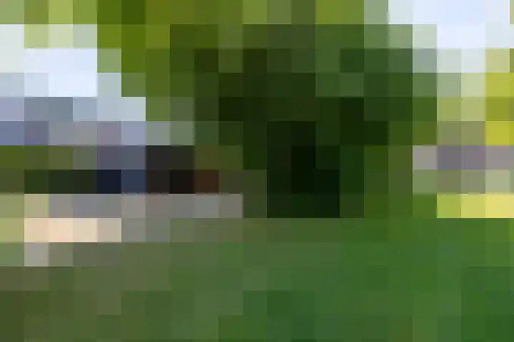 De Wijzend 54 Oosthuizen thumbnail 52