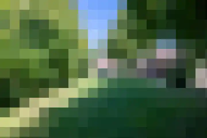 De Wijzend 54 Oosthuizen thumbnail 53