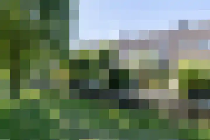 De Wijzend 54 Oosthuizen thumbnail 54