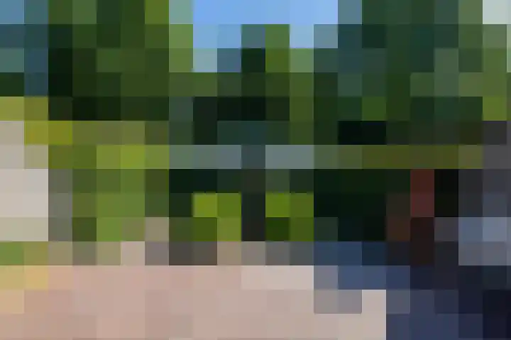 De Wijzend 54 Oosthuizen thumbnail 6