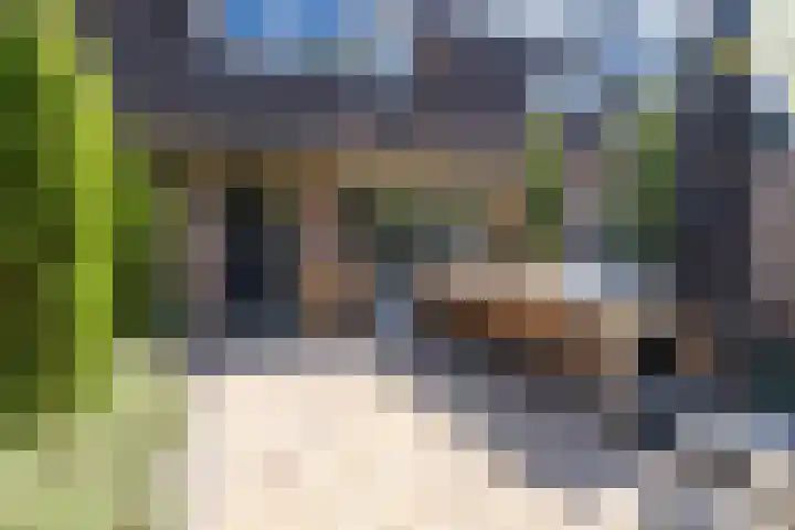 De Wijzend 54 Oosthuizen thumbnail 7