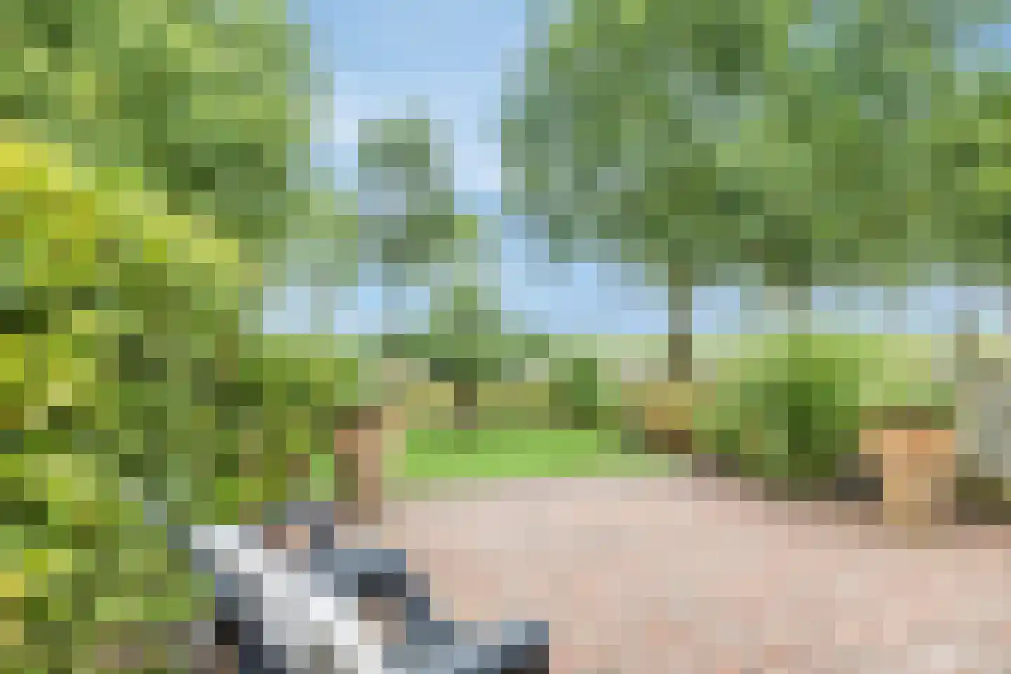 De Wijzend 57 Oosthuizen thumbnail 32