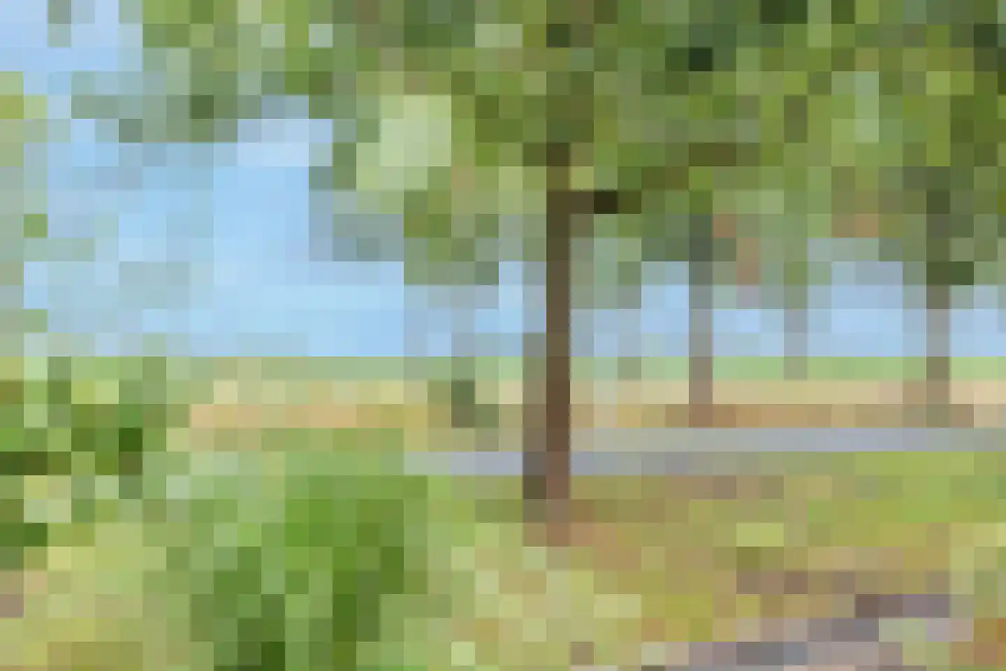De Wijzend 57 Oosthuizen thumbnail 35