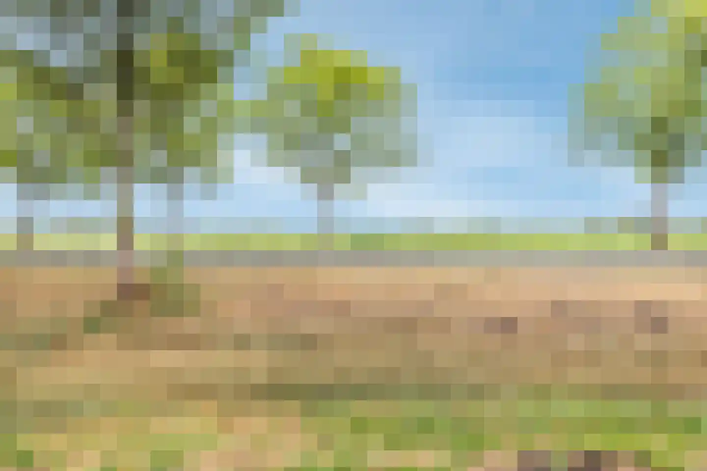 De Wijzend 57 Oosthuizen thumbnail 36
