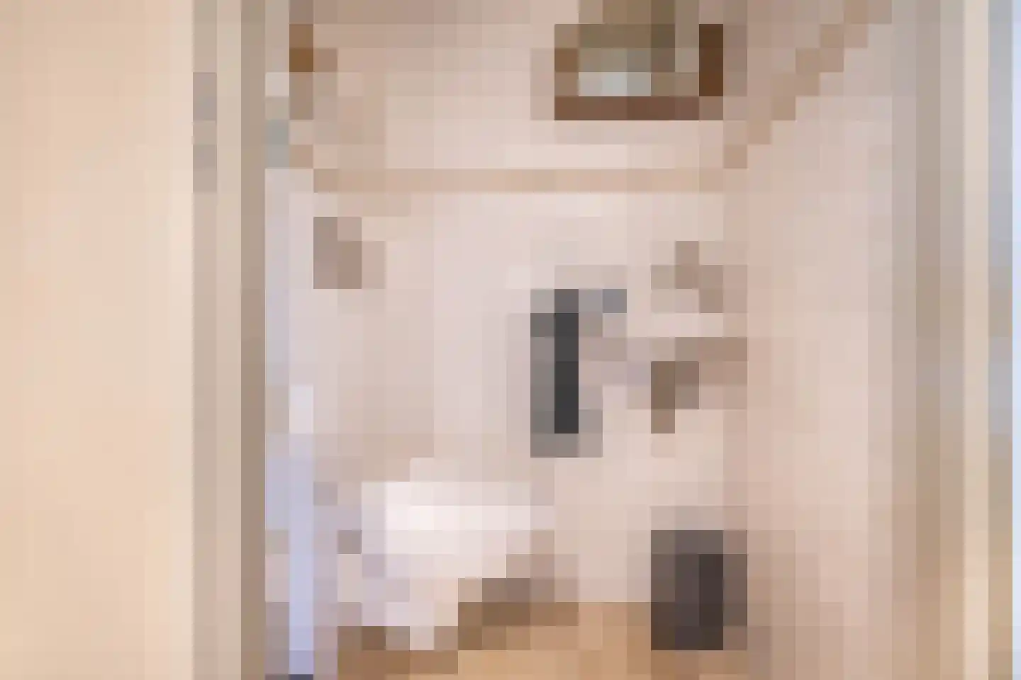 De Wijzend 57 Oosthuizen thumbnail 8
