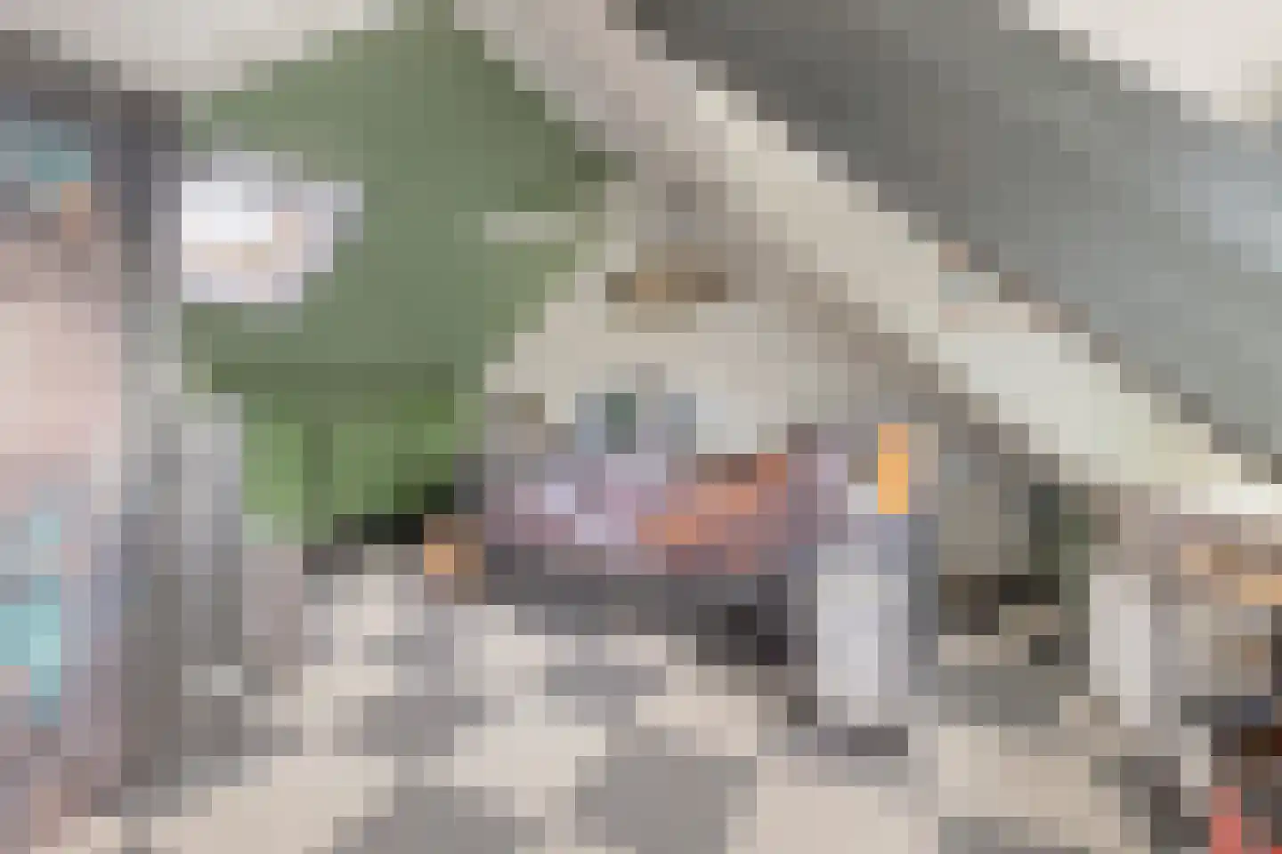 De Wijzend 81 Oosthuizen thumbnail 23