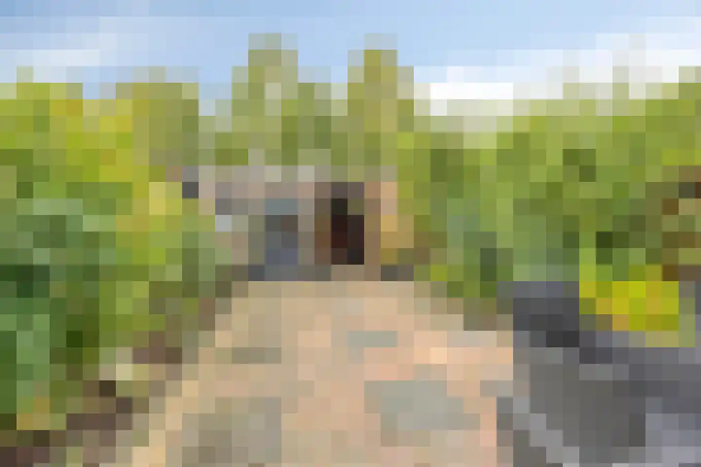 De Wijzend 81 Oosthuizen thumbnail 26