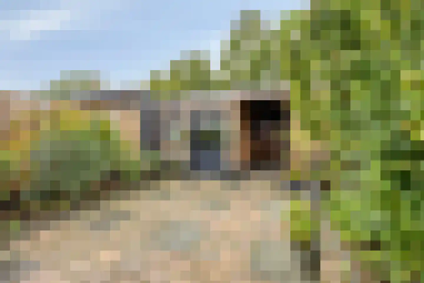 De Wijzend 81 Oosthuizen thumbnail 27