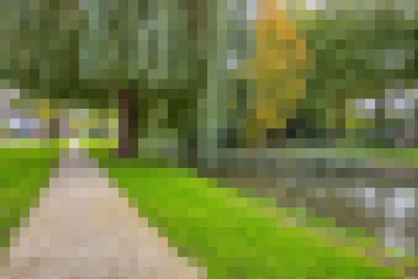 De Wijzend 81 Oosthuizen thumbnail 35