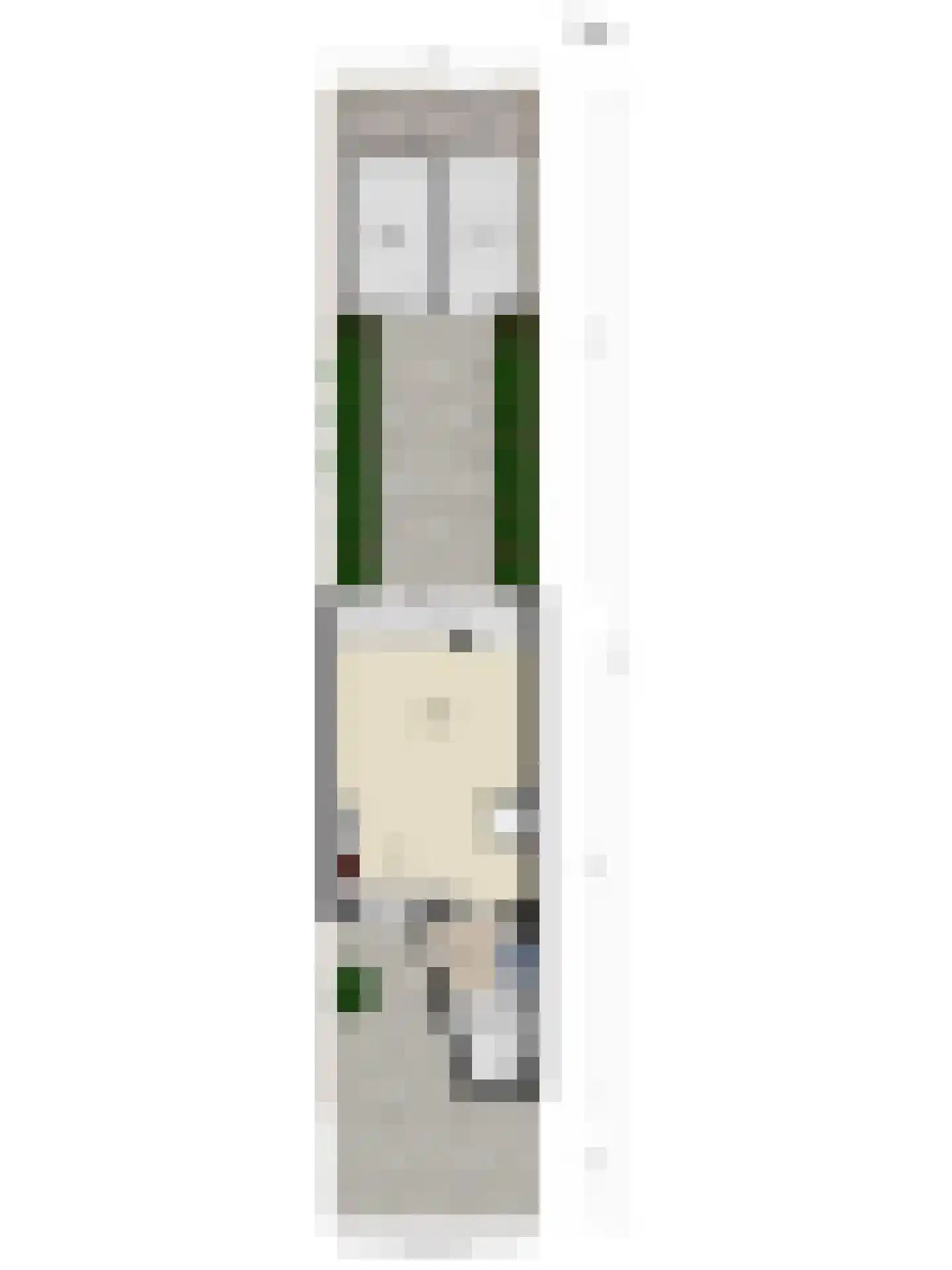 De Wijzend 81 Oosthuizen thumbnail 37