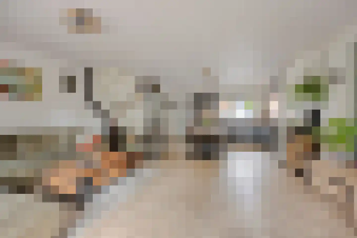De Wijzend 81 Oosthuizen thumbnail 8