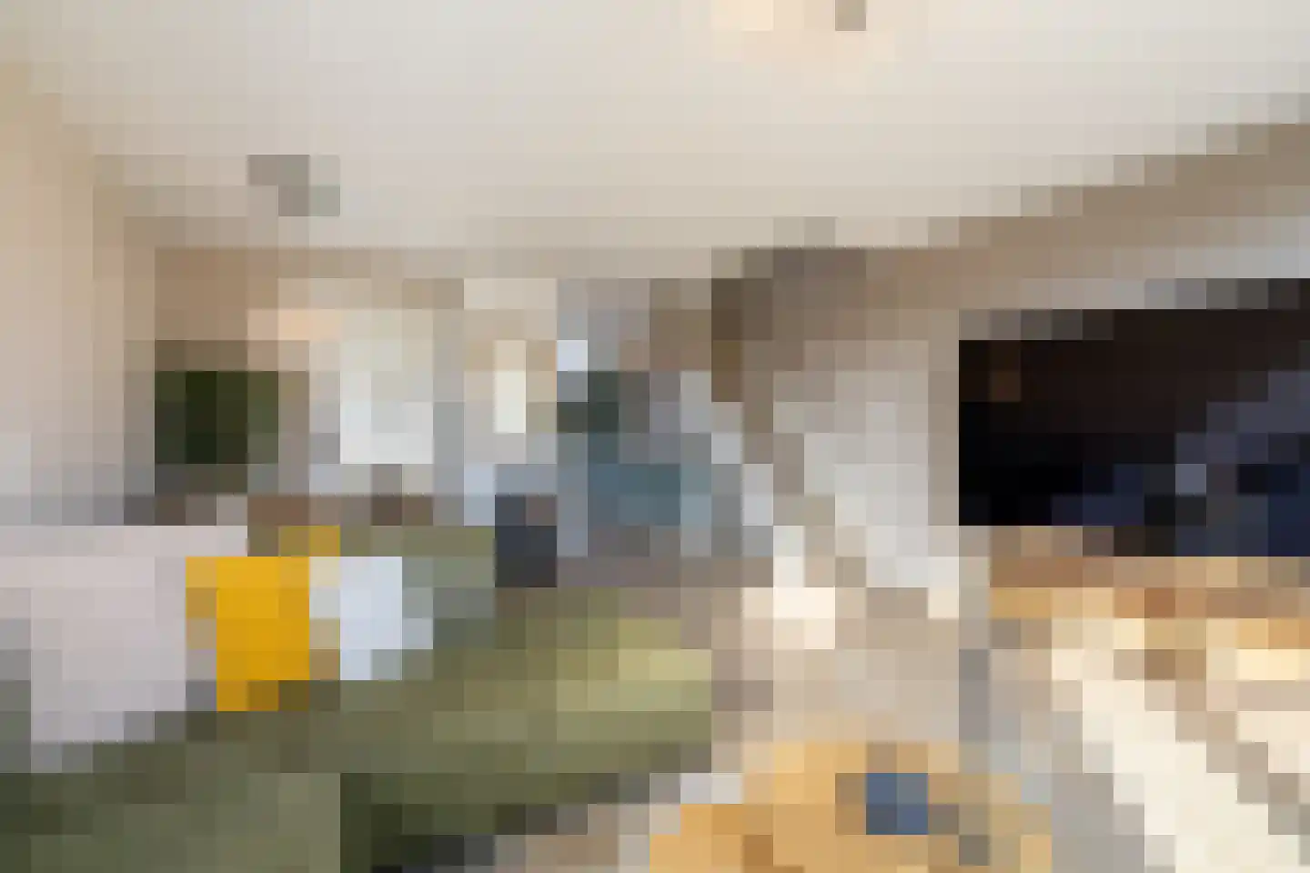De Wijzend 98 Oosthuizen thumbnail 11