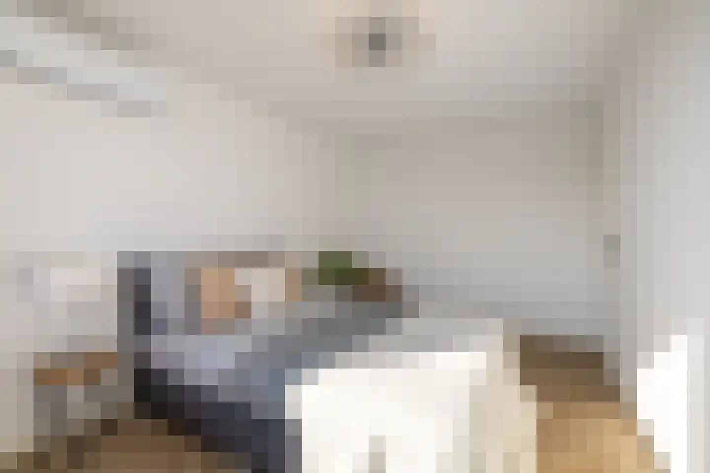 De Wijzend 98 Oosthuizen thumbnail 26
