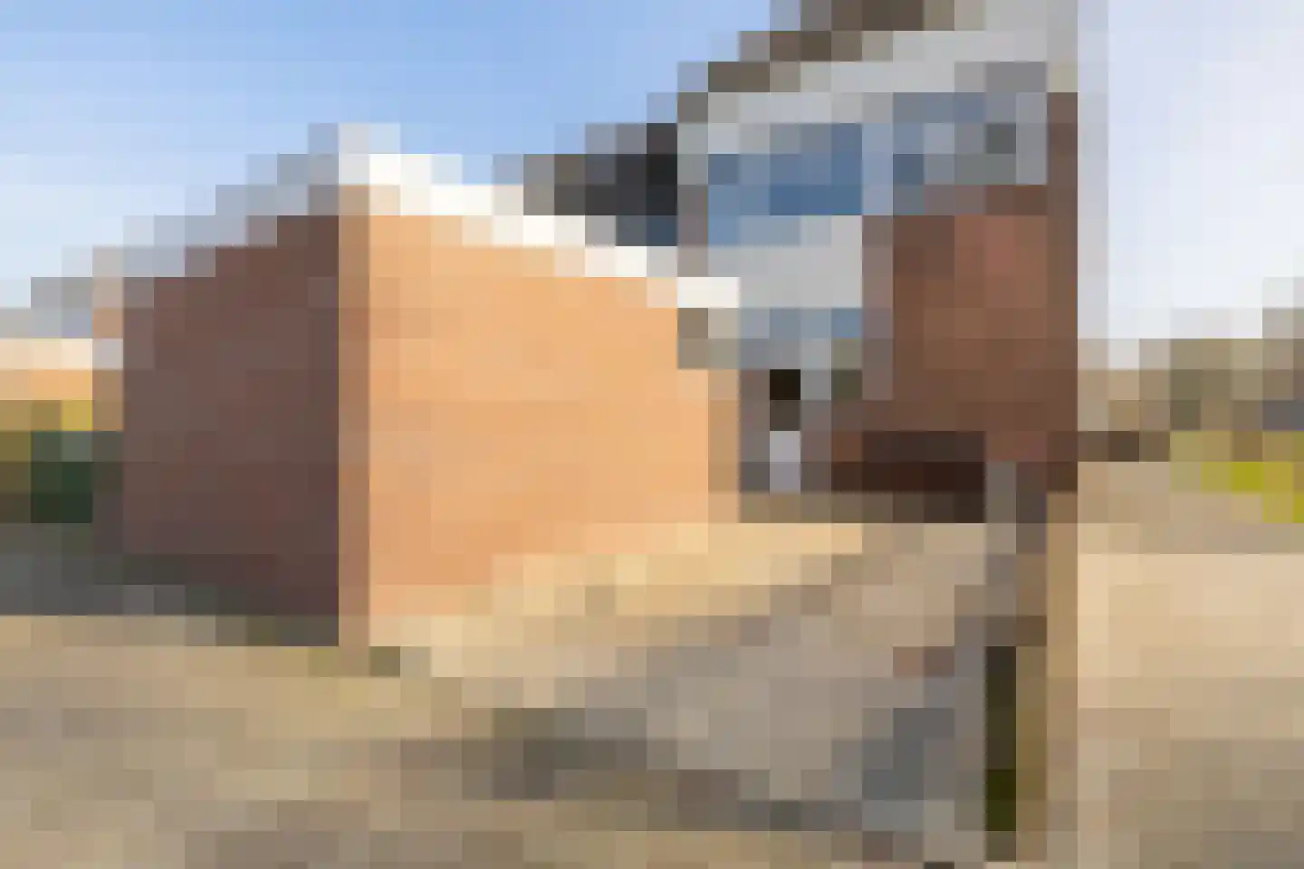 De Wijzend 98 Oosthuizen thumbnail 6