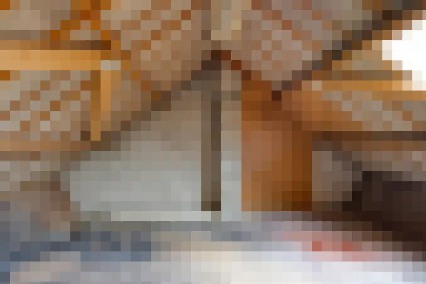 de Wikke 41 Heerde thumbnail 17