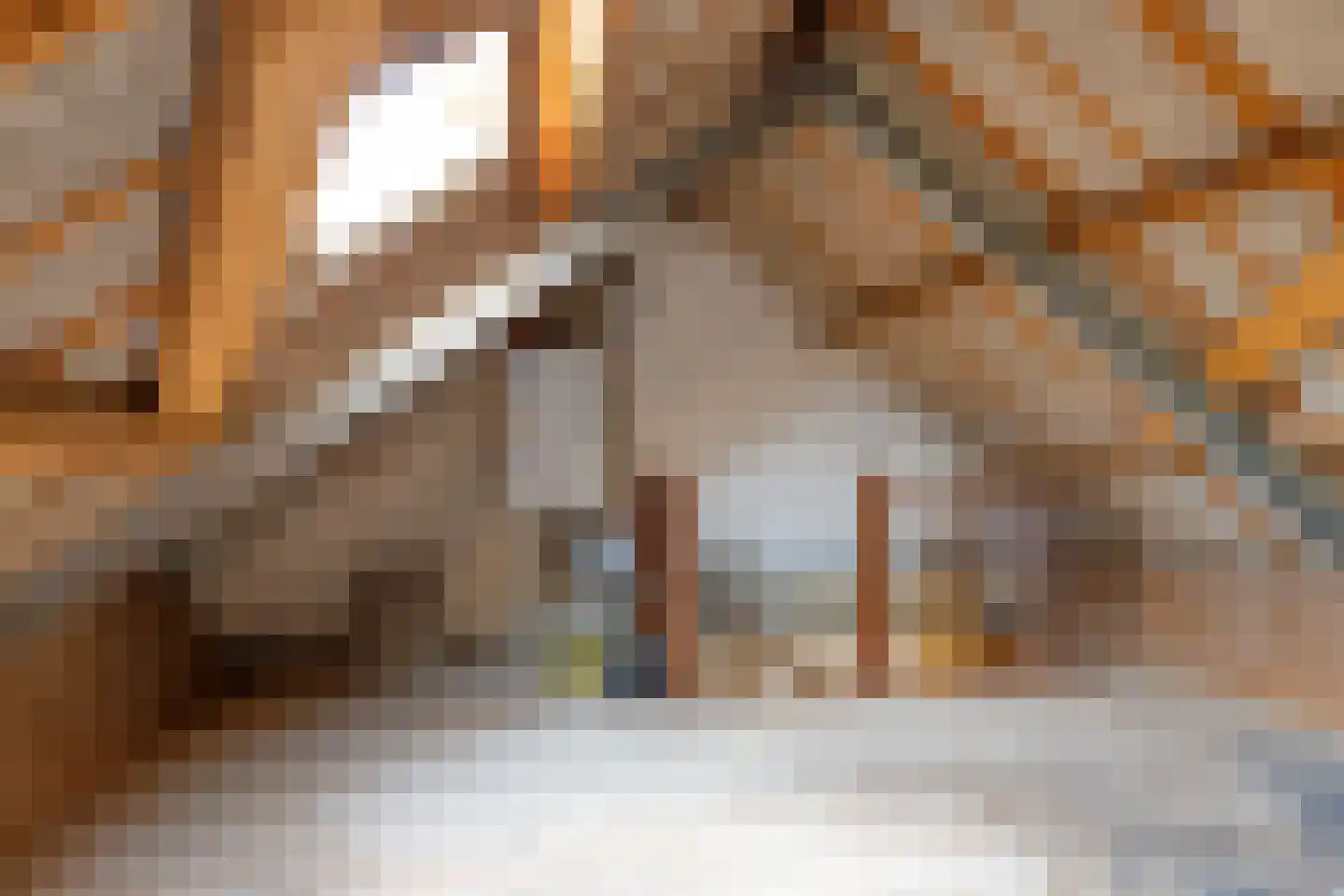 de Wikke 41 Heerde thumbnail 18