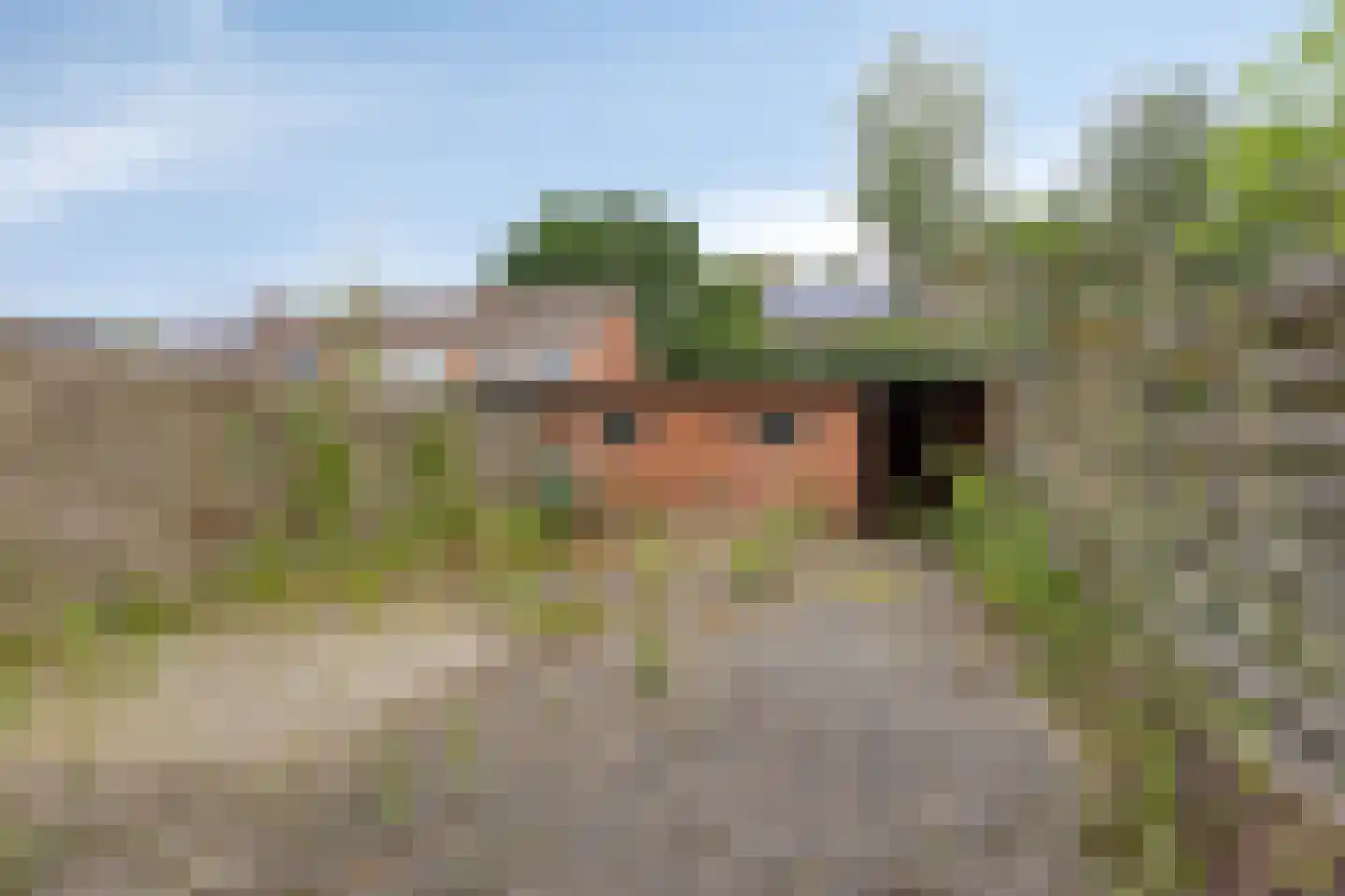 de Wikke 41 Heerde thumbnail 19