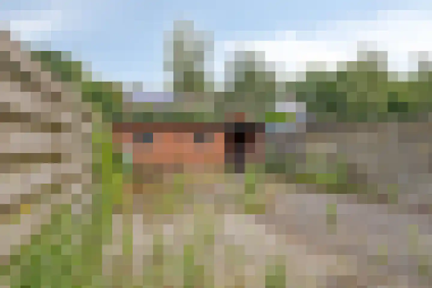 de Wikke 41 Heerde thumbnail 20