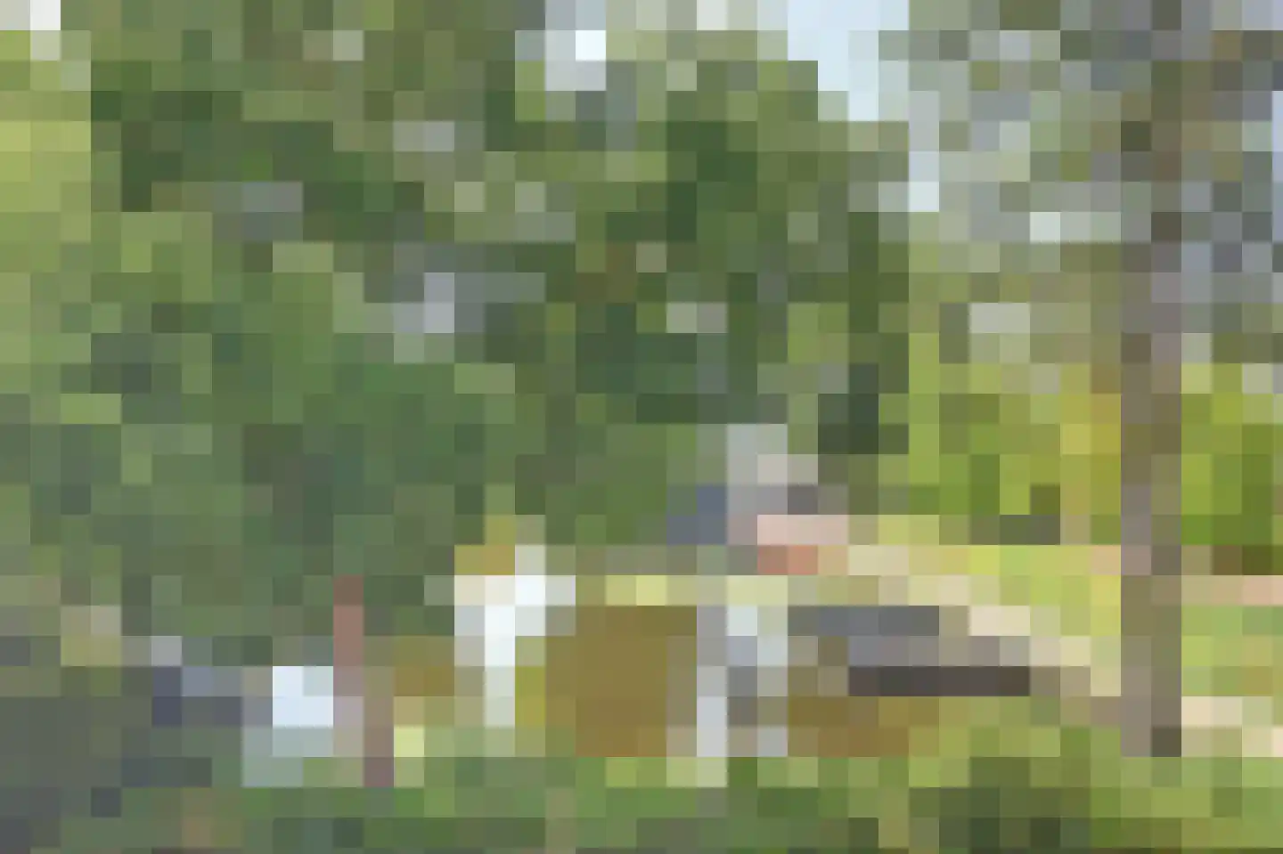 De Wikke 5 Reeuwijk thumbnail 33