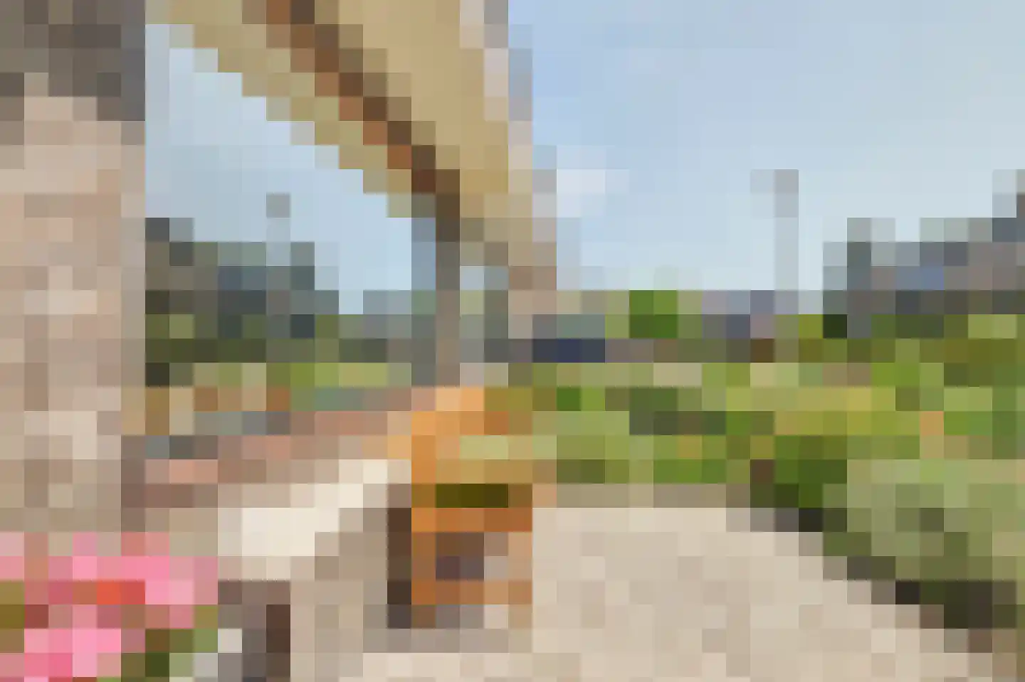 De Wikke 5 Reeuwijk thumbnail 51