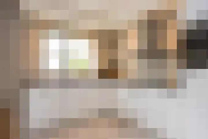 De Wildbaan 1 Ootmarsum thumbnail 11