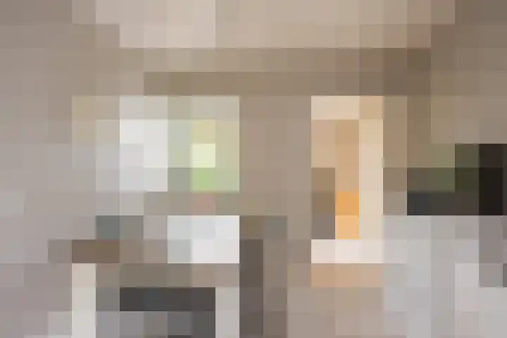 De Wildbaan 1 Ootmarsum thumbnail 13
