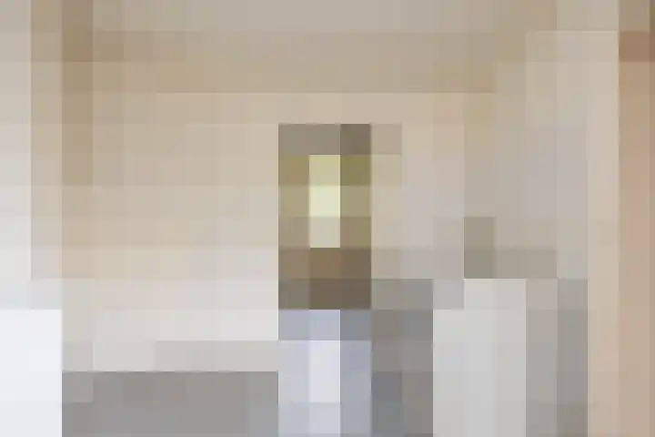 De Wildbaan 1 Ootmarsum thumbnail 15