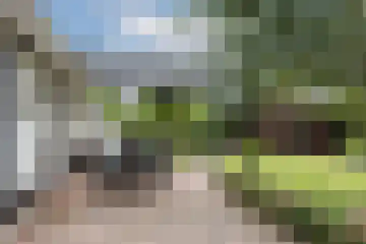De Wildbaan 1 Ootmarsum thumbnail 24