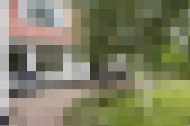 De Wildbaan 1 Ootmarsum thumbnail 25