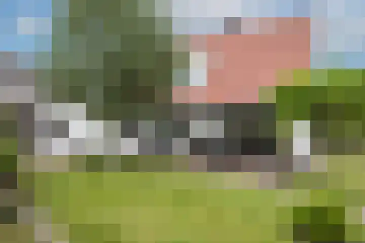 De Wildbaan 1 Ootmarsum thumbnail 26