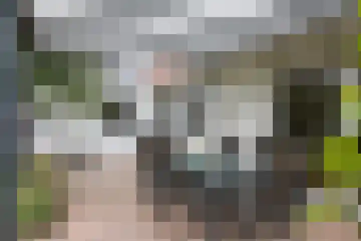 De Wildbaan 1 Ootmarsum thumbnail 27
