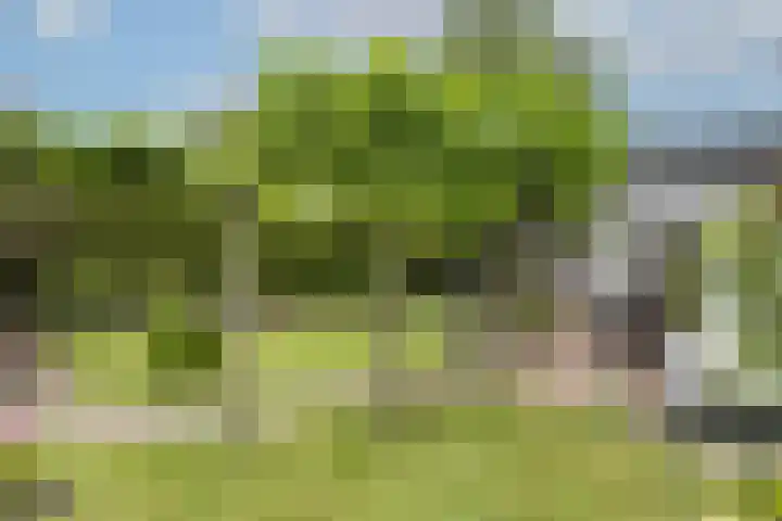 De Wildbaan 1 Ootmarsum thumbnail 28