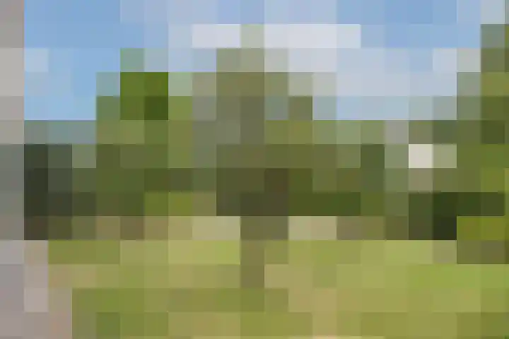 De Wildbaan 1 Ootmarsum thumbnail 29