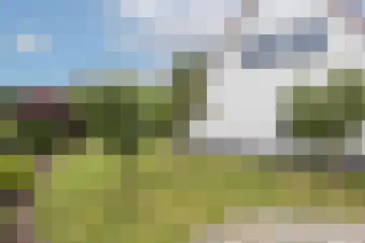De Wildbaan 1 Ootmarsum thumbnail 30