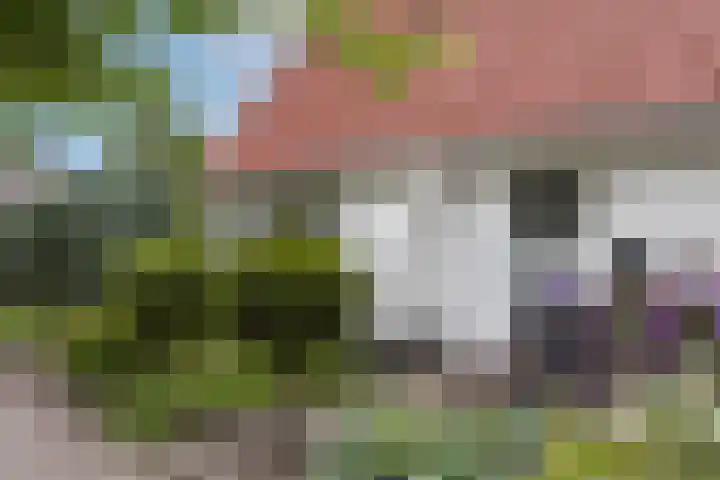 De Wildbaan 1 Ootmarsum thumbnail 4