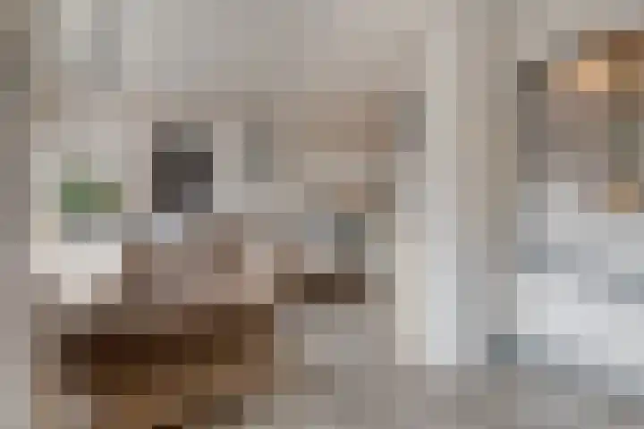 De Wilderen 4 Waalre thumbnail 12