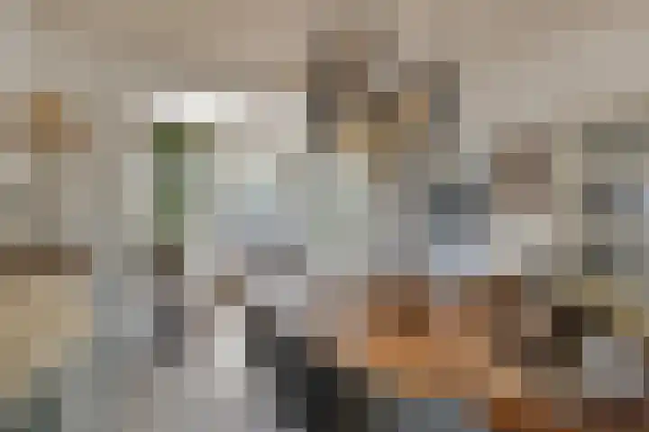 De Wilderen 4 Waalre thumbnail 14