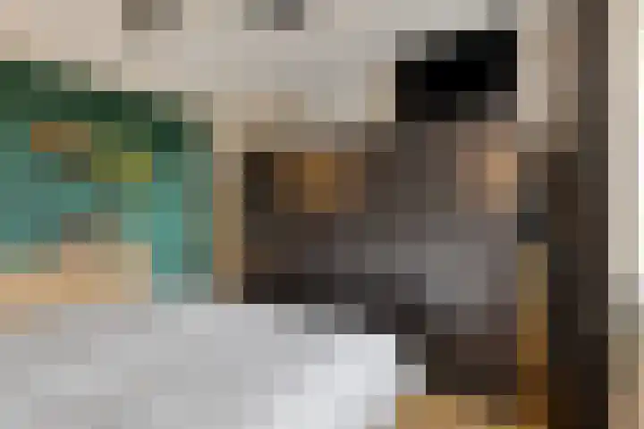 De Wilderen 4 Waalre thumbnail 20