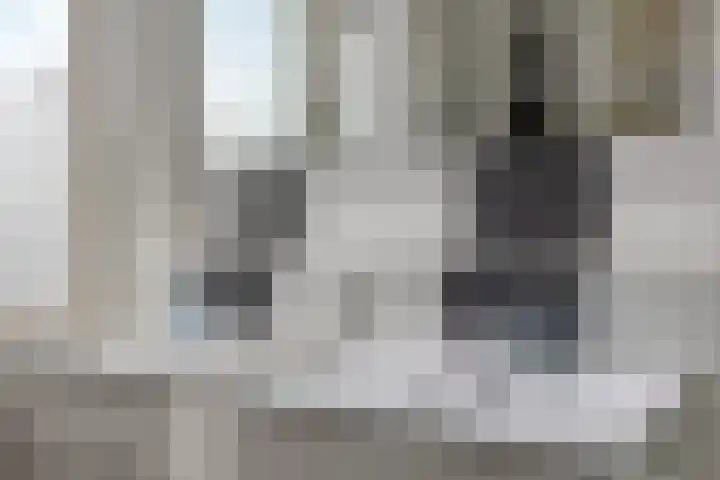 De Wilderen 4 Waalre thumbnail 22