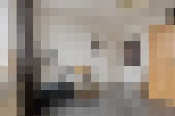 De Wilderen 4 Waalre thumbnail 25