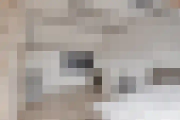De Wilderen 4 Waalre thumbnail 29