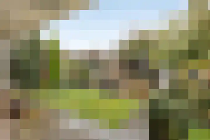 De Wilderen 4 Waalre thumbnail 32