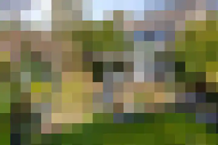 De Wilderen 4 Waalre thumbnail 33
