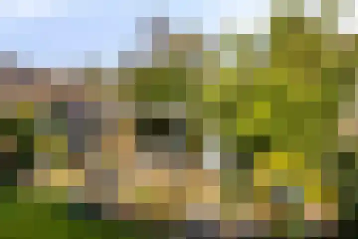 De Wilderen 4 Waalre thumbnail 34