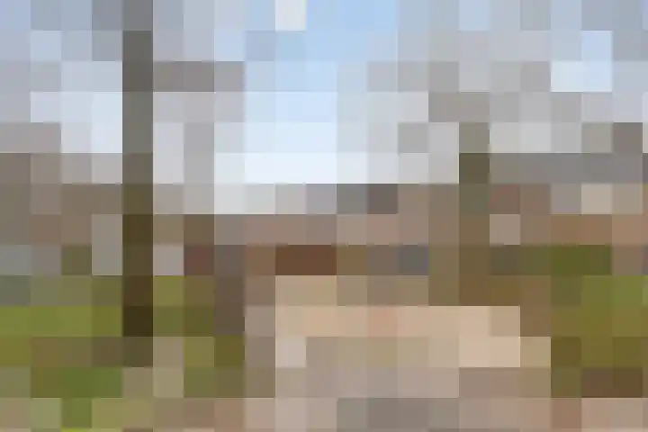 De Wilderen 4 Waalre thumbnail 38