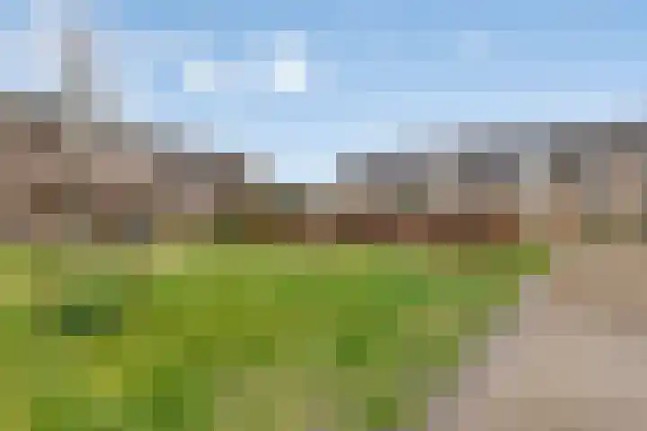 De Wilderen 4 Waalre thumbnail 39