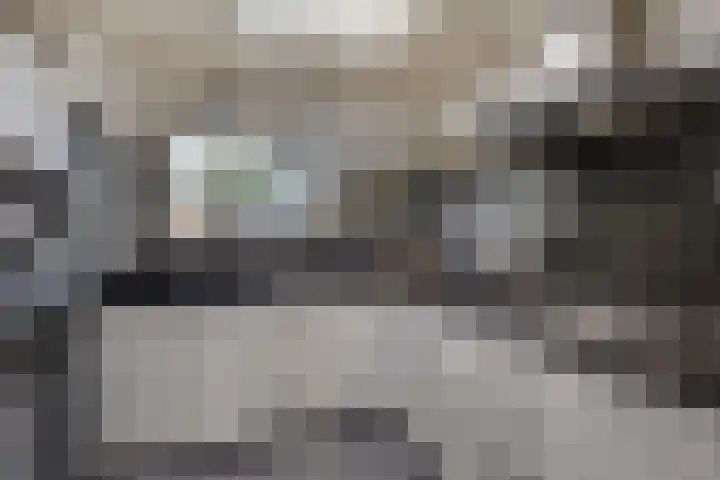 De Wilderen 4 Waalre thumbnail 4