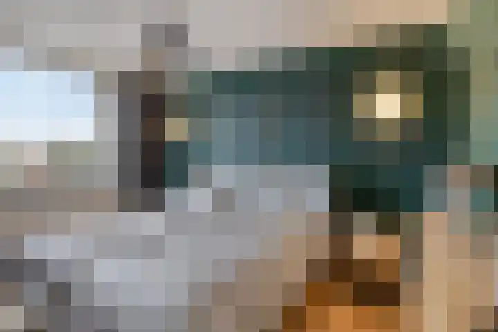 De Wilderen 4 Waalre thumbnail 5