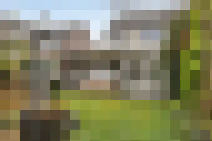 De Wilderen 4 Waalre thumbnail 7